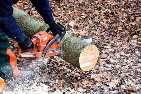 除湿机控制木材中的水分